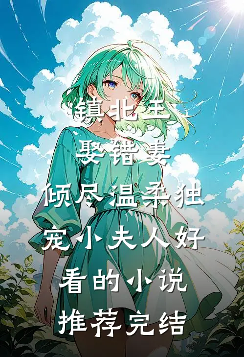 镇北王娶错妻，倾尽温柔独宠小夫人好看的小说推荐完结