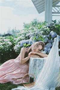 水月镜花终幻迹火爆小说