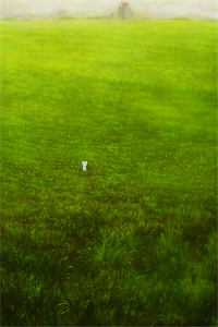 老公通知我休假，我带儿子一去不归前文+后续