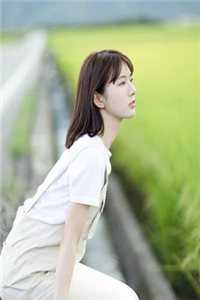 八年梦悔全球完整文集