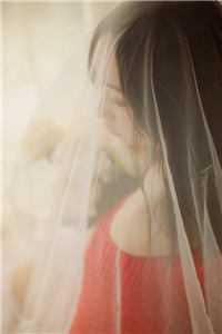 爱恨两讫，死生不见全文阅读最新