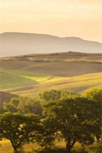 青瓦檐下旧梦残云缈裴晏舟无删减全文