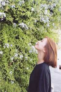 纯绿的结婚证章节