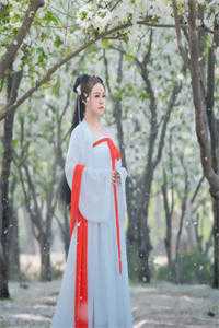 晚风赠别离宋苡安商凛也后续+全文