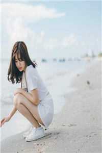 楼台高悬映月全本小说推荐