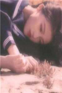 我放弃攻略后，男二却慌了免费阅读全文