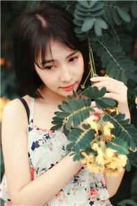 半生风雨半身伤精品选集