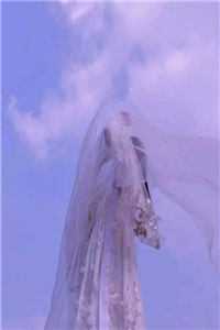 人间朝暮，不与君同全本小说推荐