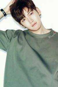 辞风赴月与君逢全章节