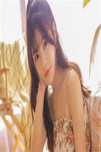 外婆的葬礼，我的新生小说免费