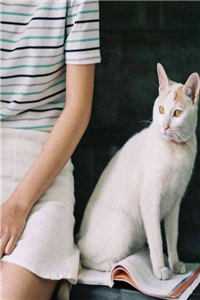 告别乖乖女，换来清冷老公宠完结文