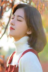 风要飞往辽阔天空精品选集