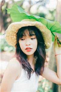 你是深秋我为落叶畅销巨著