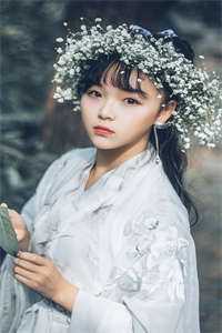 岁岁不平安在线阅读全本阅读