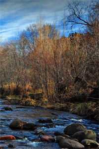 重活一世，我笑看婆家自寻死路全文免费阅读