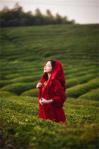 穿成恶女配，绑定阴湿反派黑化前全文