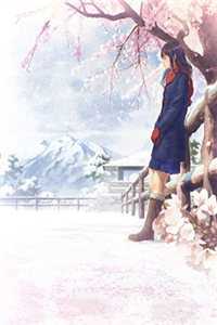 岁岁几相渡在线阅读