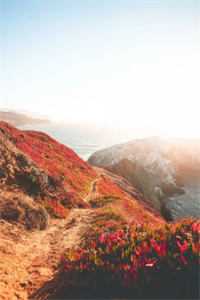 失望叠加，爱已消失阅读