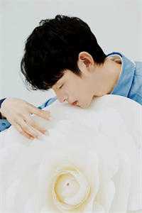 落日为我续章火爆小说