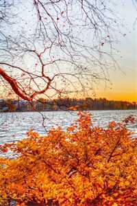 穿书七零：万人嫌女配她是真千金高质量好文