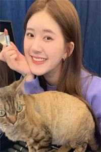 京北晚来信笔趣阁