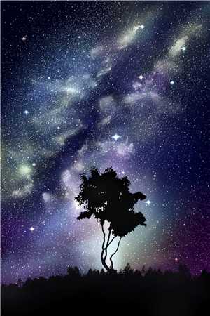 纵容青梅皇后连杀五子，绝嗣皇帝悔疯了未删节