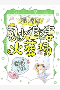 老婆助理把我当小白脸暴打后，我选择离婚在线阅读