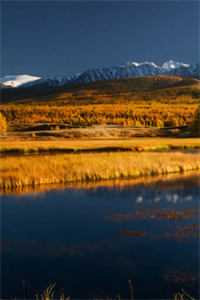 七零肥婆：作恶变美，糙汉宠疯了无错版