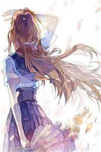 消失于盛夏的爱意许知夏宋方州全文免费