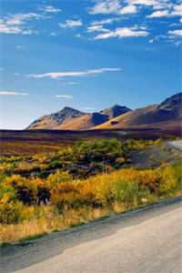 大唐：我就念了首诗，全长安的贵女疯了？裴明之郑窈娘大结局