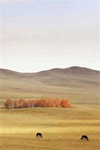 新婚夜世子睡错人，我转头嫁给探花郎爆火全网