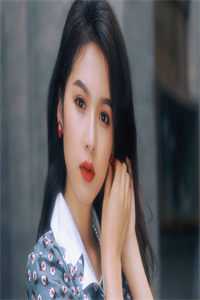 岁岁几相渡全局