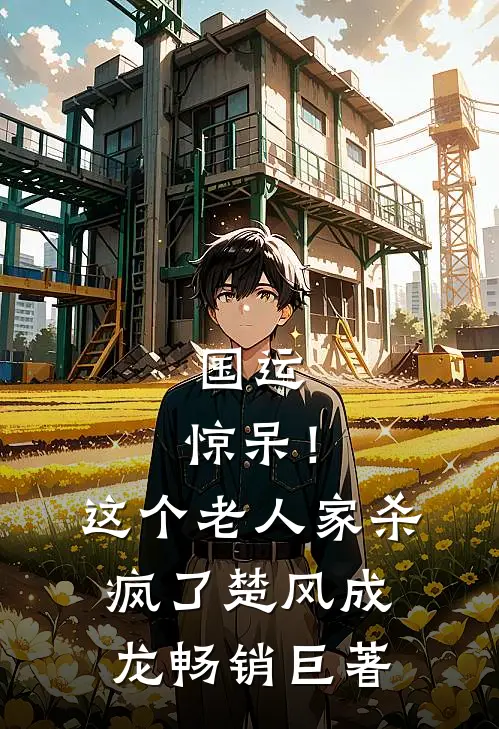 国运：惊呆！这个老人家杀疯了楚风成龙畅销巨著