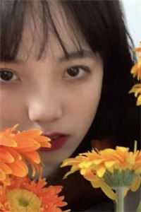 此度见花枝全本小说推荐