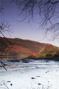 被渣爹抛弃，奶团被大佬抢着当崽结局