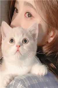 一帘风月温旧梦小说大结局