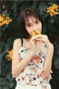 菩萨与野狗推荐