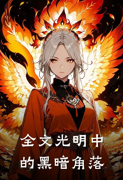 全文光明中的黑暗角落