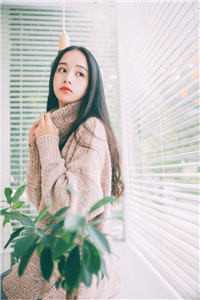 傅少他人间清醒畅销巨著