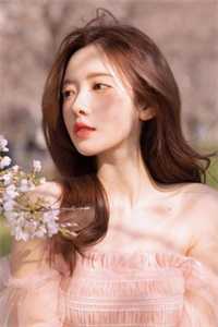 菩萨与野狗完结版