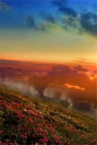 遥遥无期而相望完整阅读