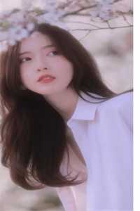 爱恨迟暮一叶秋完结版