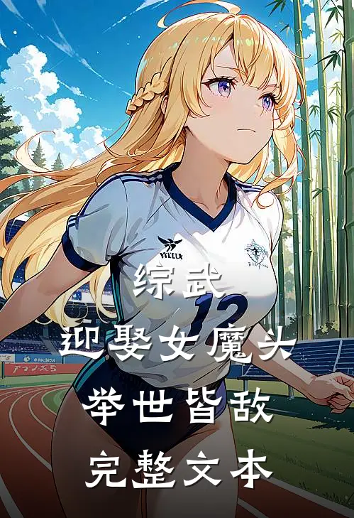 综武迎娶女魔头,举世皆敌完整文本阅读