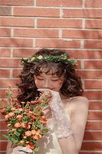 海棠也曾盛极而衰免费看