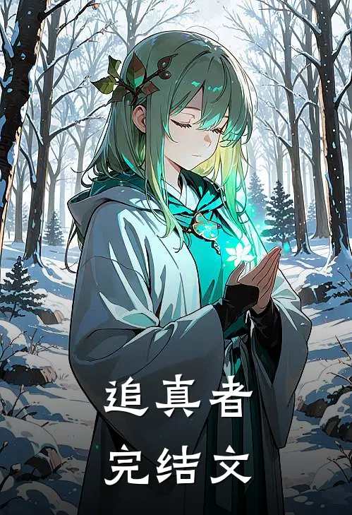 追真者完结文