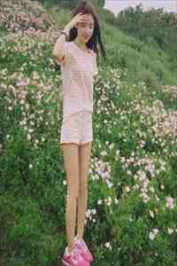 心事终成风中雪小说结局