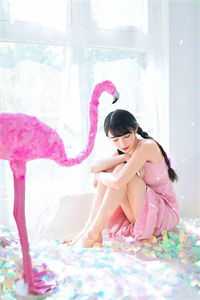 我自清欢，无风无月全文阅读最新