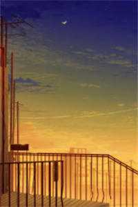 玫瑰死于盛夏阅读