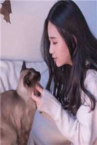 重男轻女的恶毒父亲完本