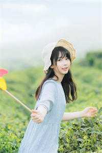 我是公司的财神，总裁白月光却把我开除了夏诗琪林婉歌全集